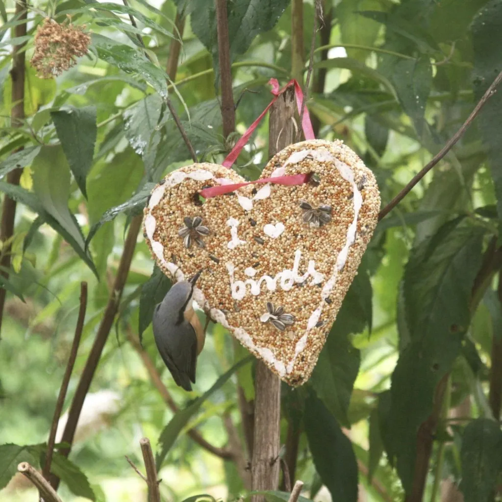 Bird food "Heart"