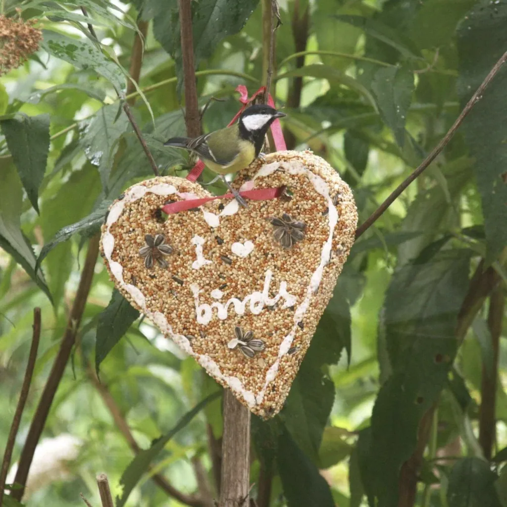 Bird food "Heart"