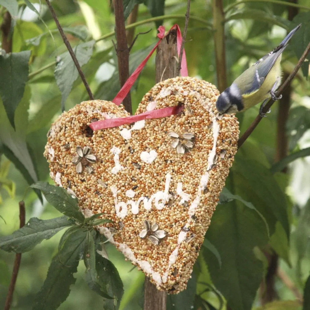 Bird food "Heart"