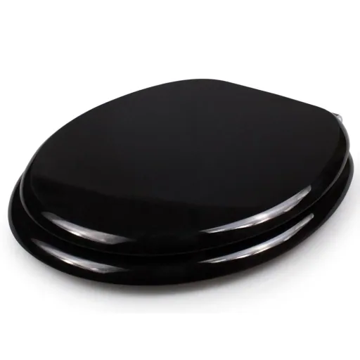 Toilet seat with soft close mechanism black