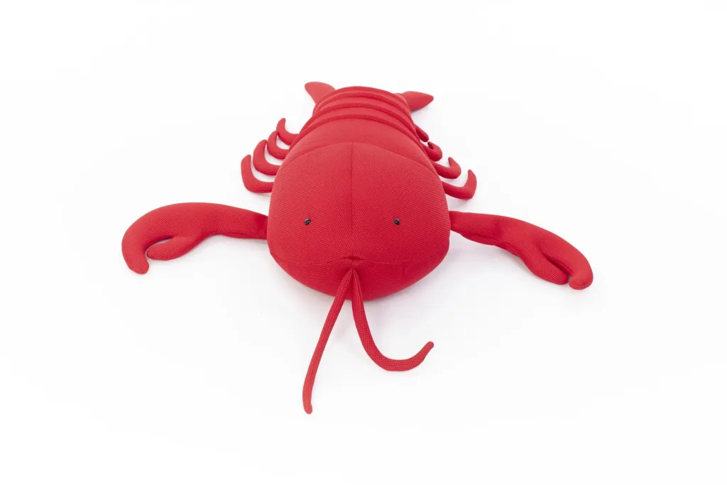 Pool Buddy Lobster rot