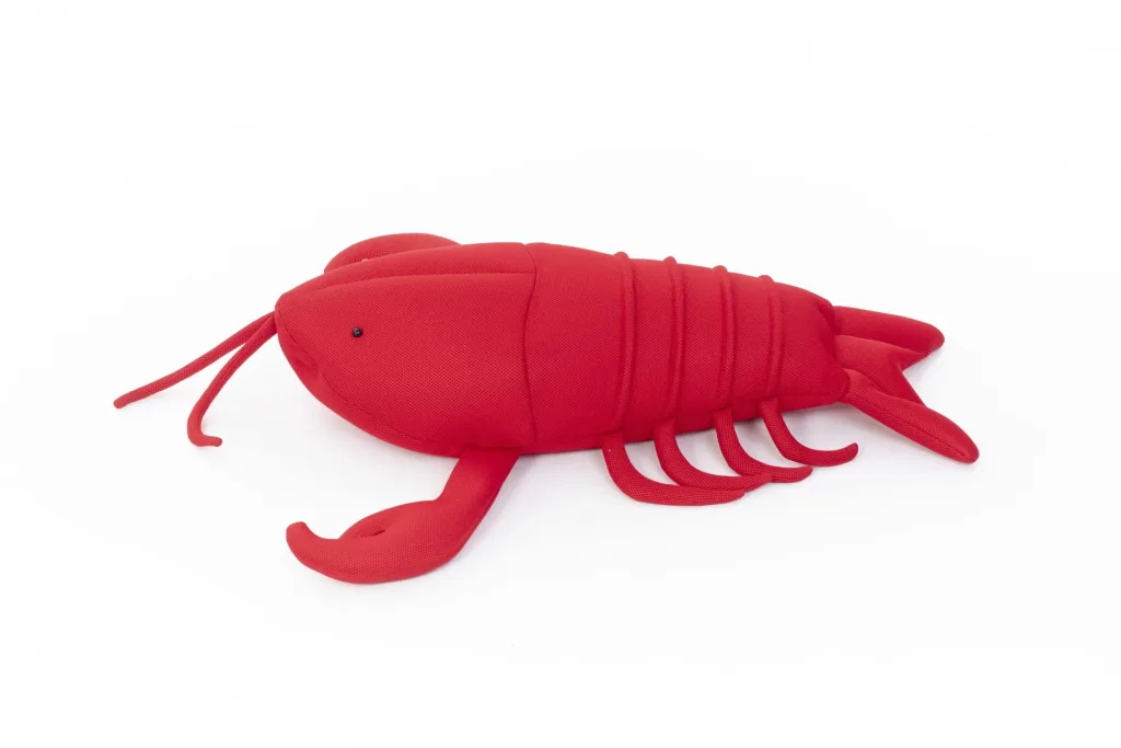 Pool Buddy Lobster rot
