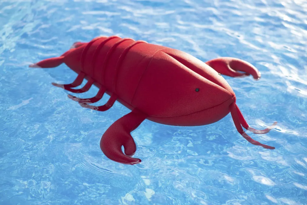 Pool Buddy Lobster rot