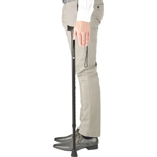 walking stick