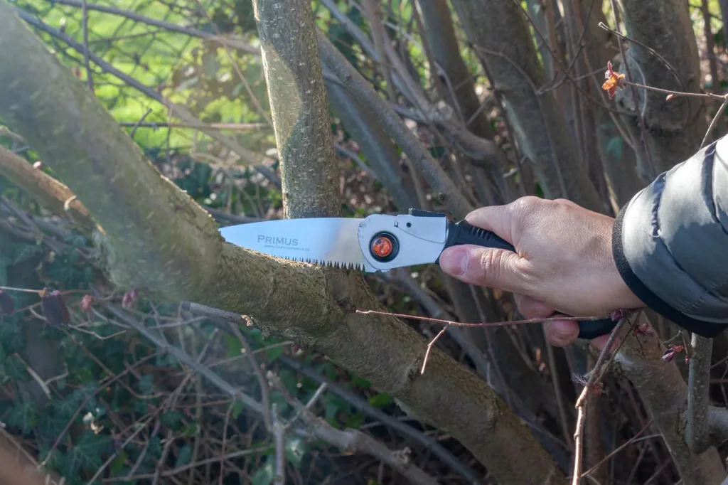 Ladies folding saw