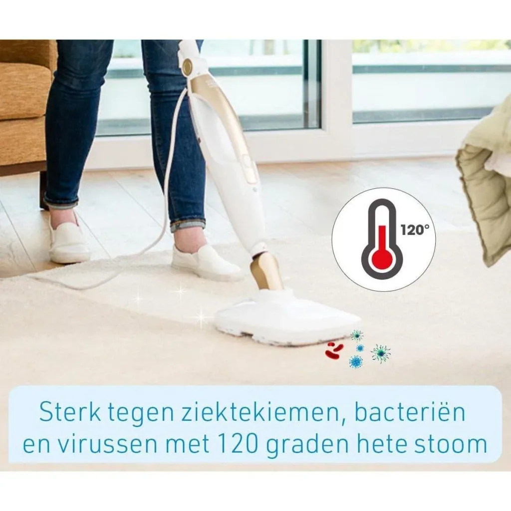 steam cleaner
