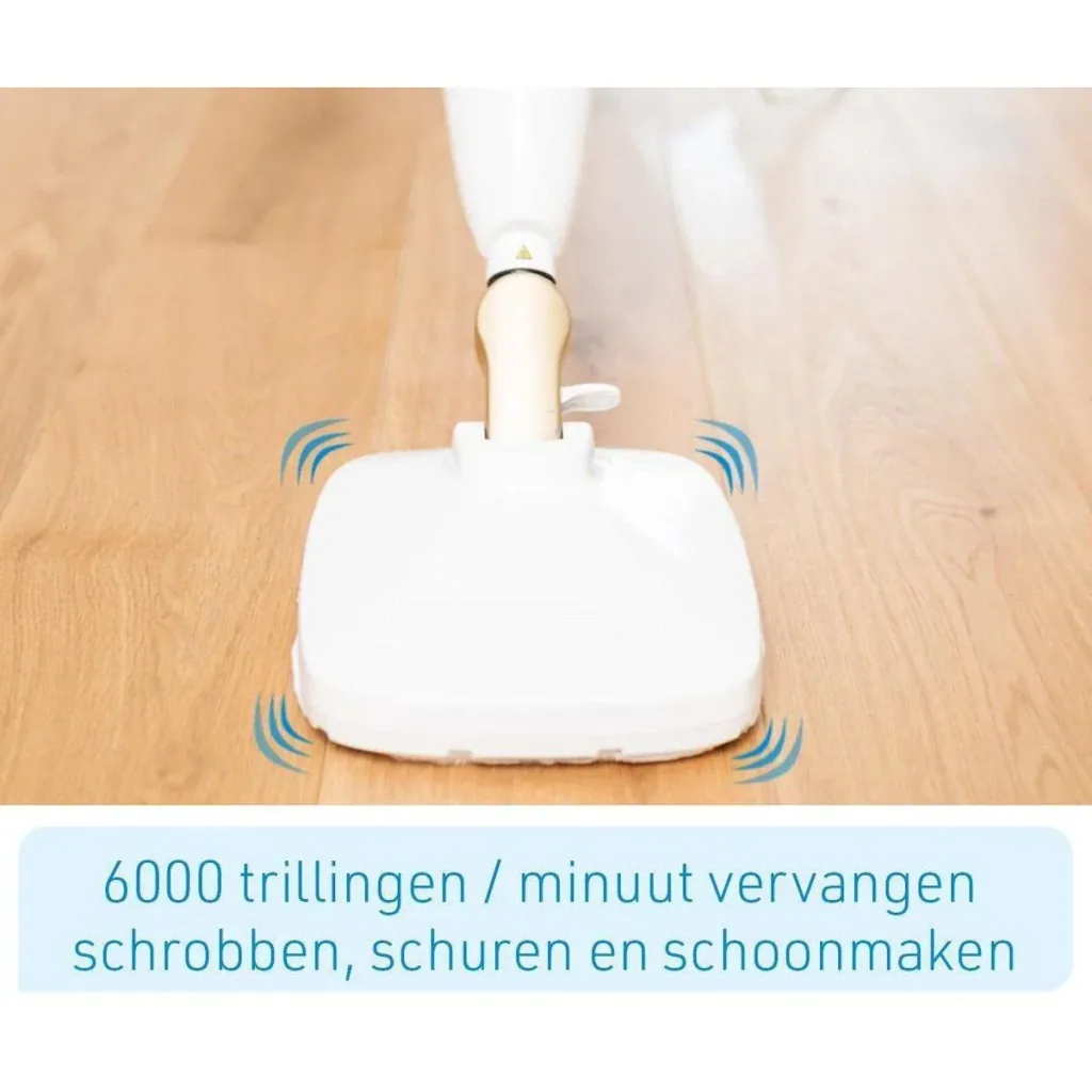 steam cleaner