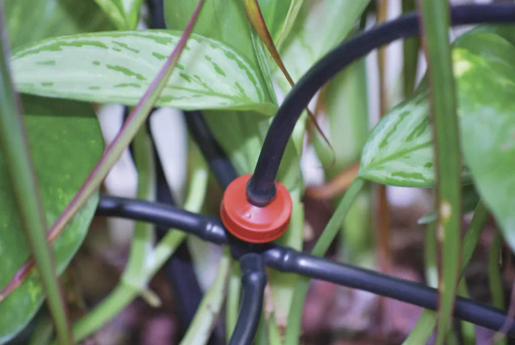 Irrigation kit for plastic greenhouses