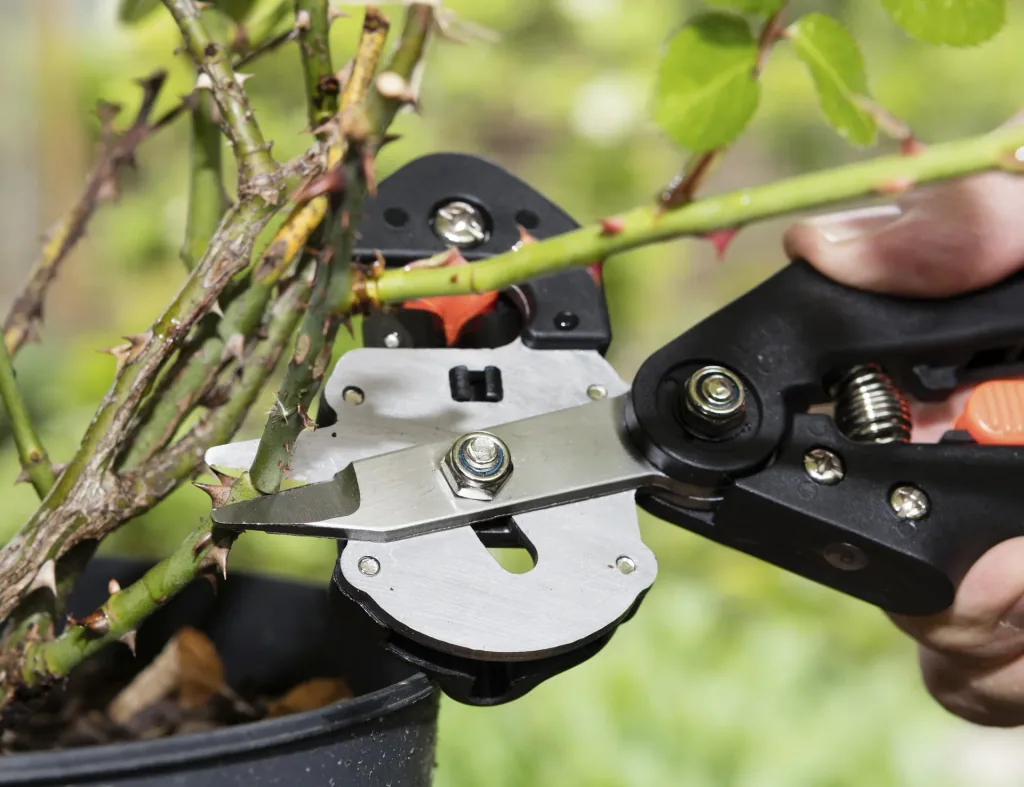 GartenMeister grafting set with 2 replacement Omega blades, grafting tape 10 pieces - made of PE