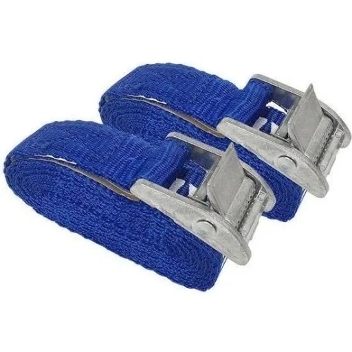 Lashing strap with buckle 2.5 meters x 25 mm - 2 pieces - 250 kg - GS / TUV