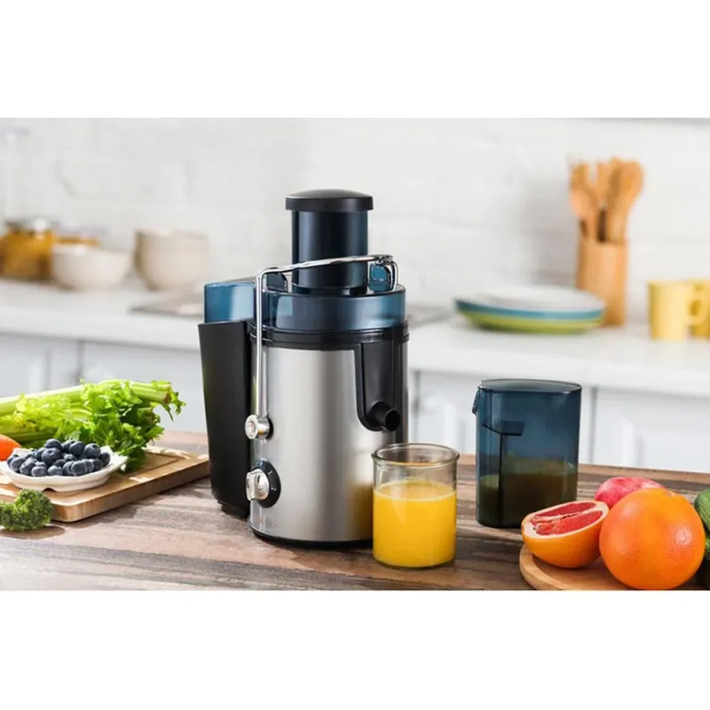 Juicer - 450W - Stainless steel