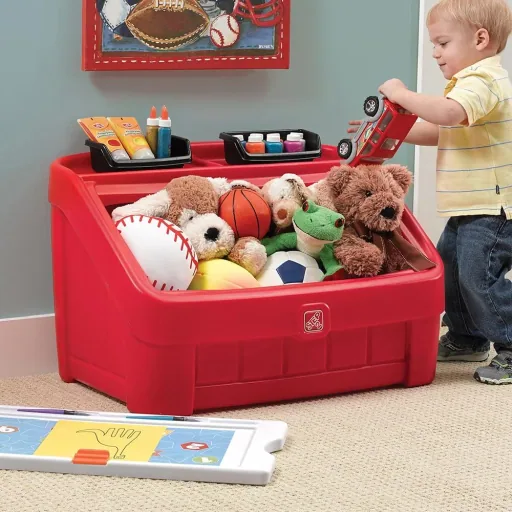 2-in-1 Toy Box & Art Cover