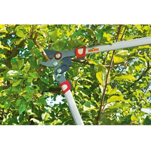 2-piece tree pruning set Comfortplus 75cm branch shears and garden shears