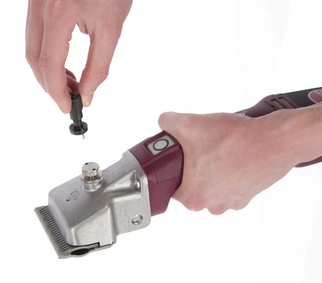Precision adjustment aid Torqui, Econom system