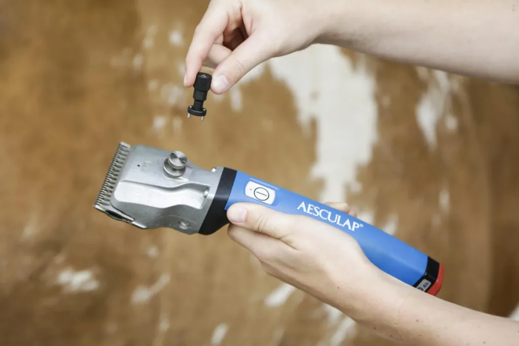 Precision adjustment aid Torqui, Econom system