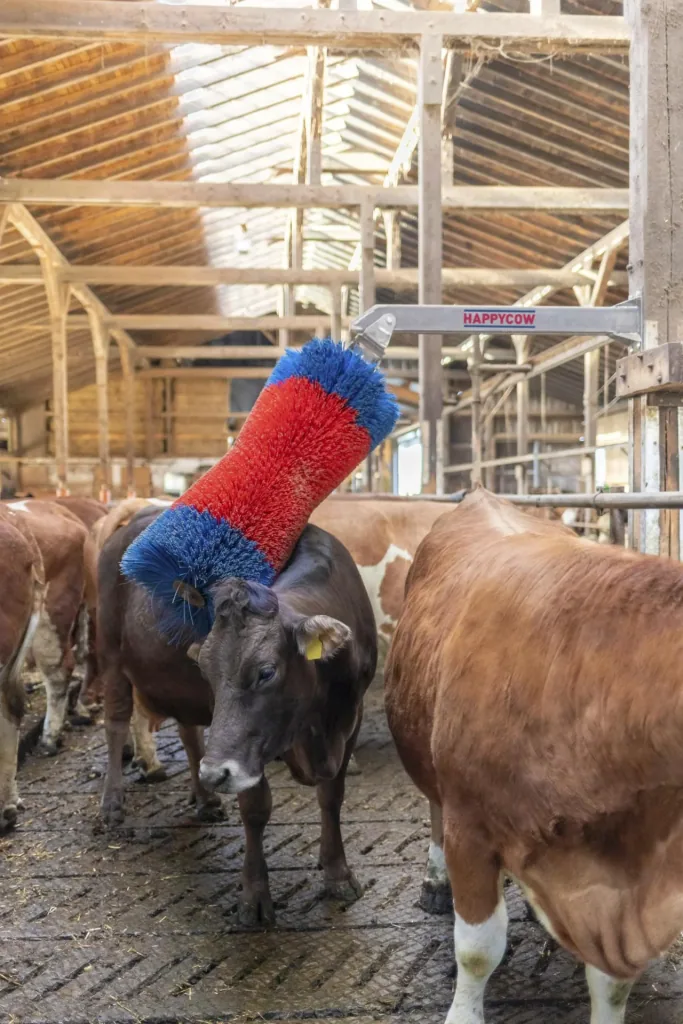 Viehbürste HAPPYCOW Free Maxi