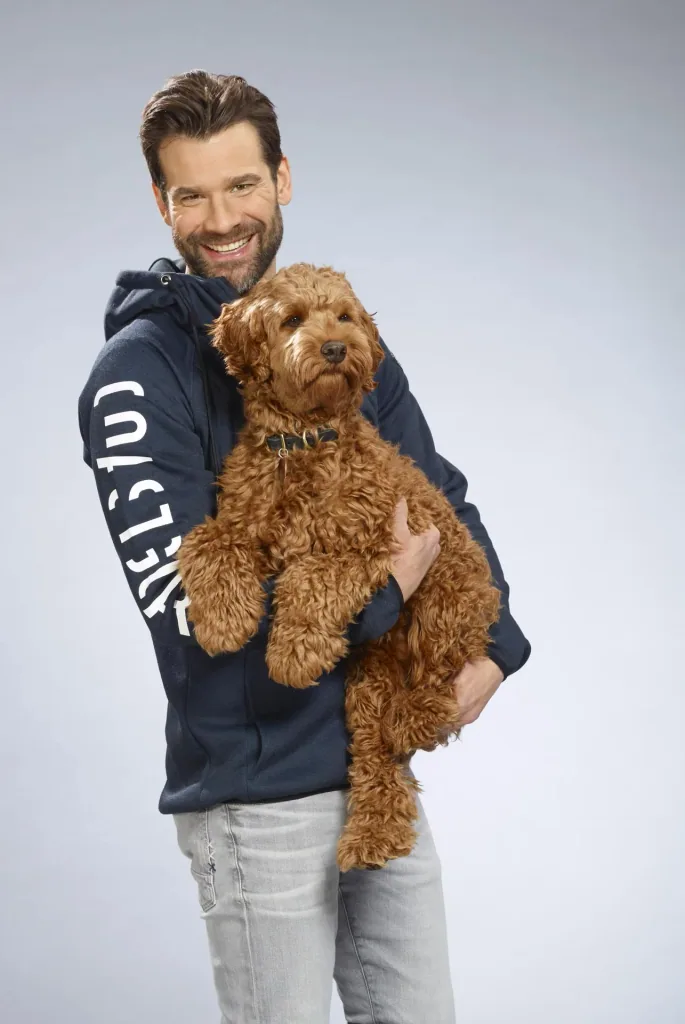 Hooded sweatshirt, navy, size M