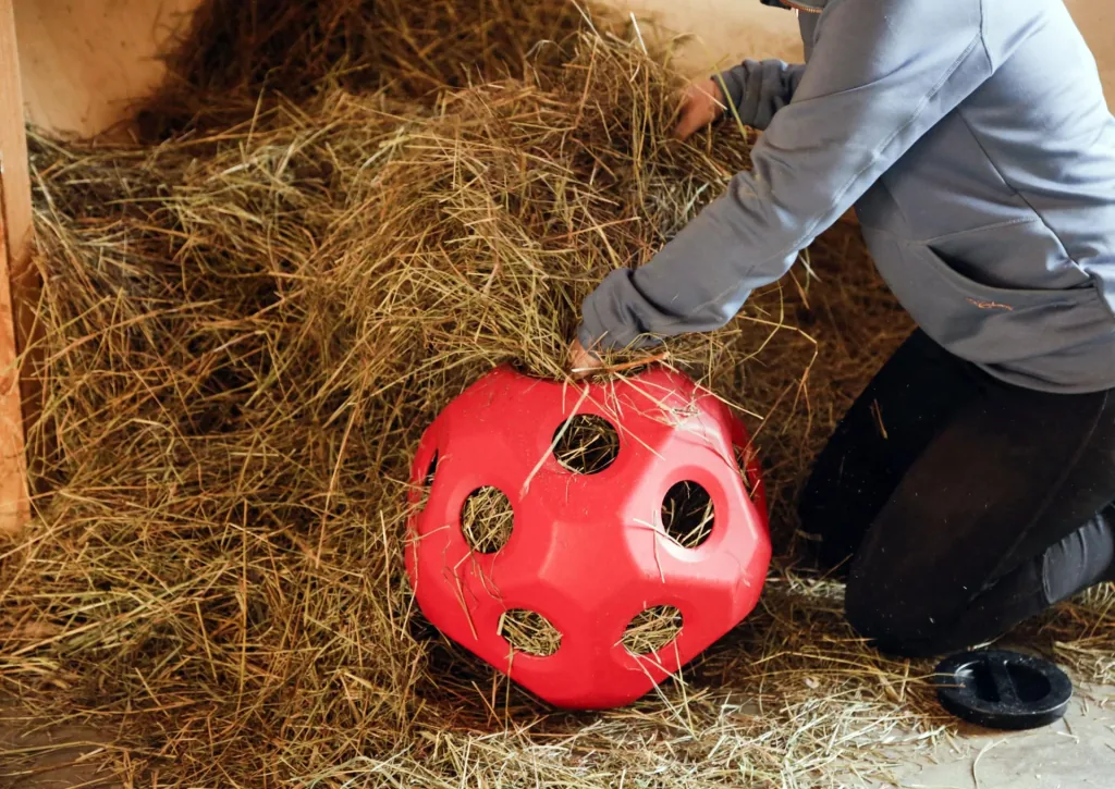 Feeding toy ball HeuBoy, red