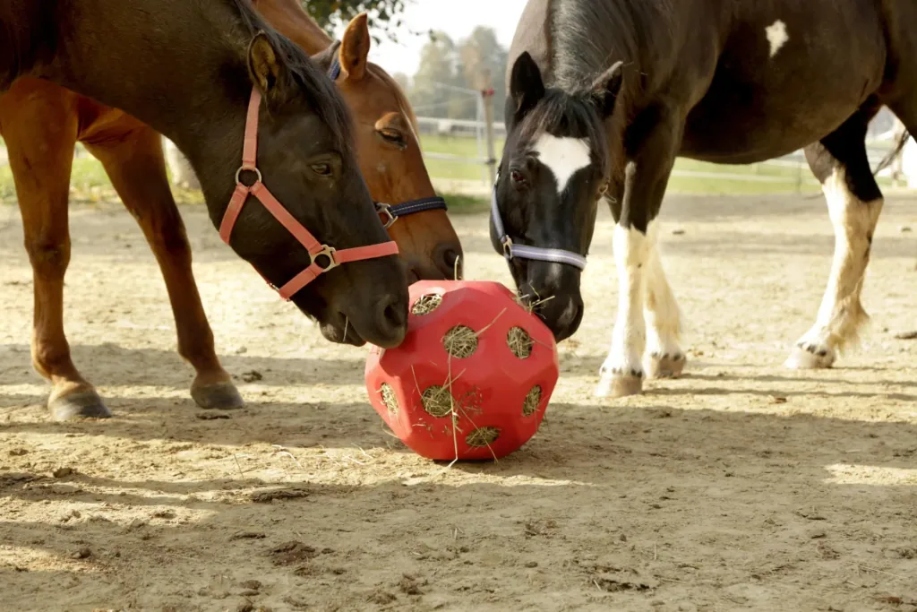 Feeding toy ball HeuBoy, red