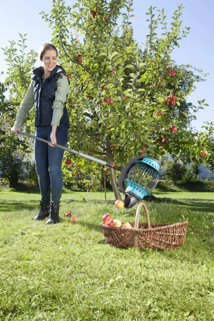 Combisystem roller collector for apples and fruit, with scoop function