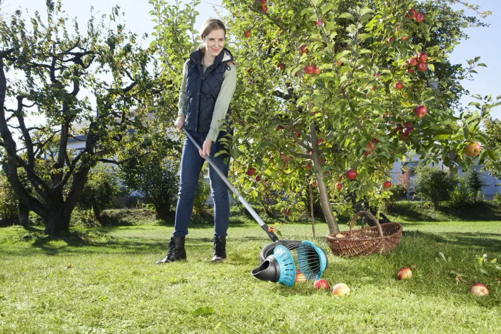 Combisystem roller collector for apples and fruit, with scoop function