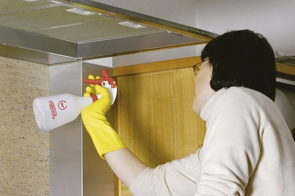 Hand sprayer "Foxy Plus" - the innovative sprayer