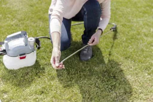 Battery-powered sprayer "EasyFlex" PS 2035