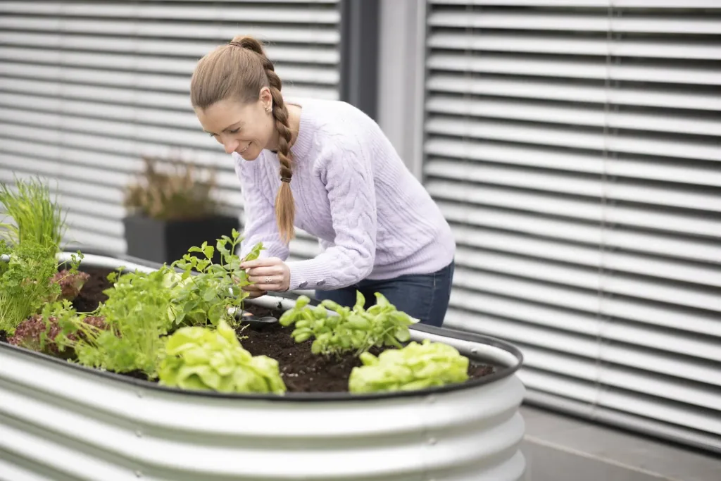 Raised Bed Grow Faster, 240×80×82 cm, Silver – Galvanized Corrugated Metal