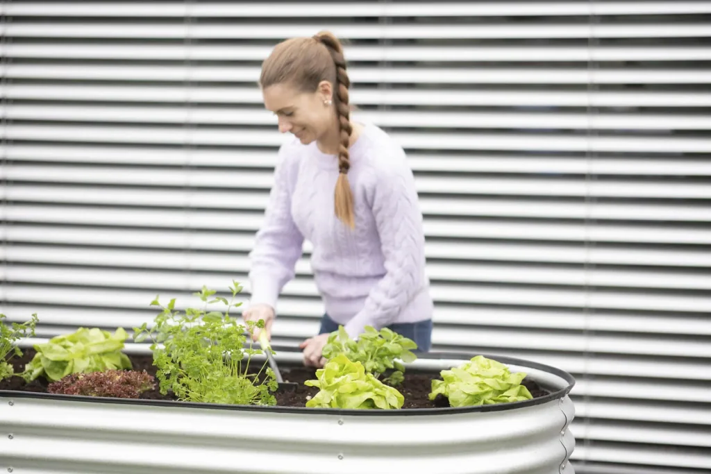 Raised Bed Grow Faster, 240×80×82 cm, Silver – Galvanized Corrugated Metal