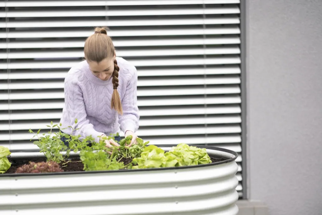 Raised Bed Grow Faster, 240×80×82 cm, Silver – Galvanized Corrugated Metal