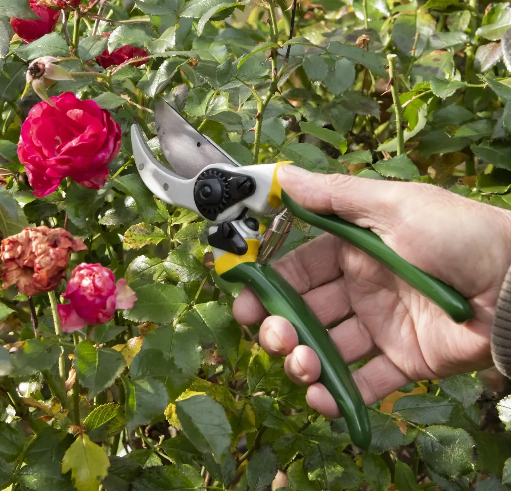 One-handed garden shears, Classic