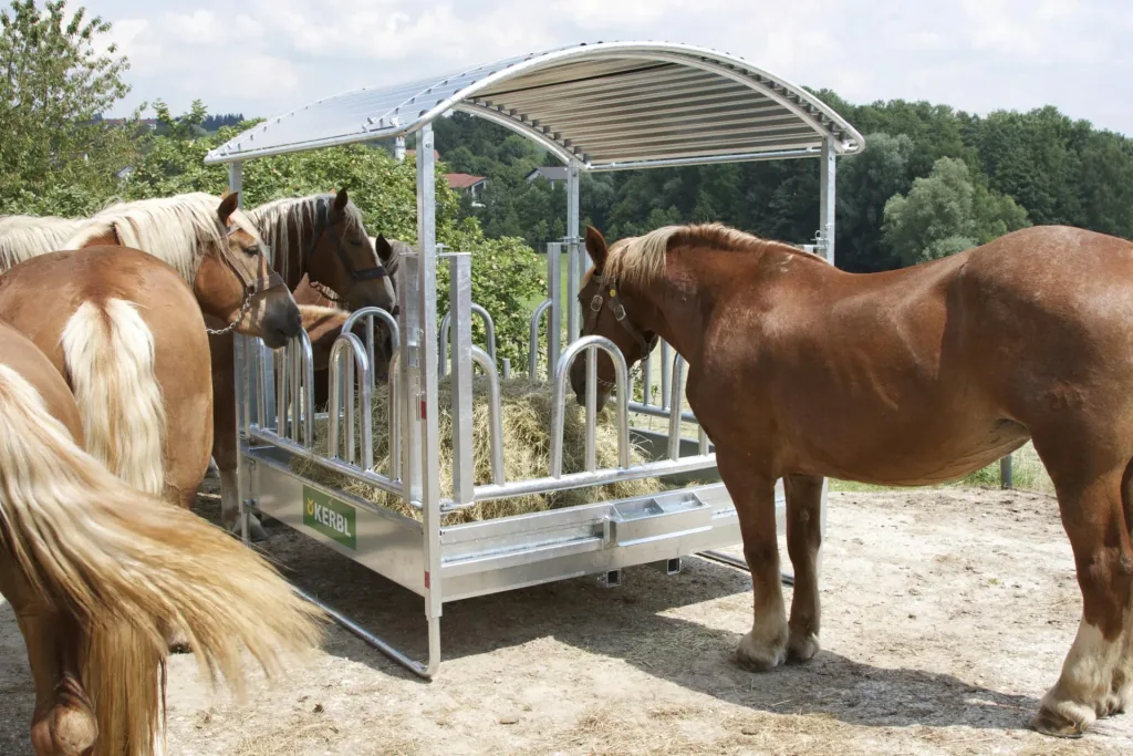 Square hay rack with palisade feeding grid, for cattle and horses