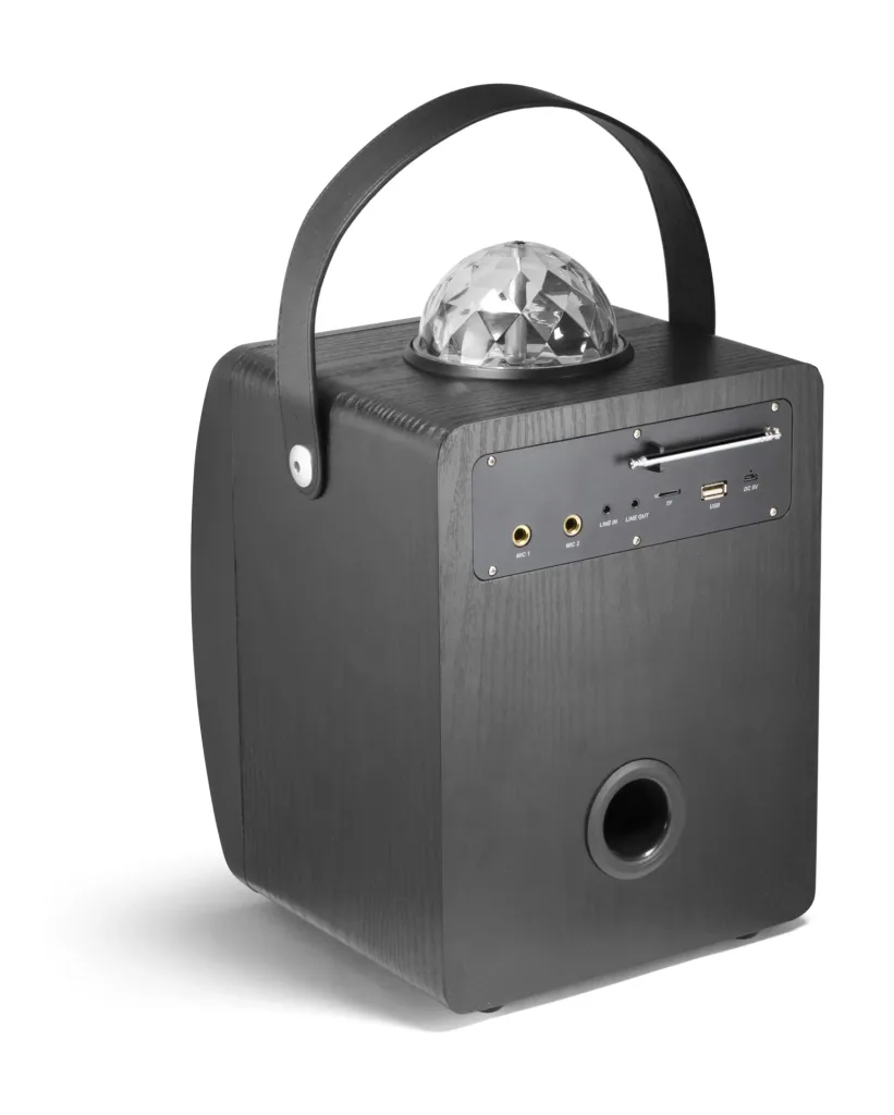 Disco speaker with microphone