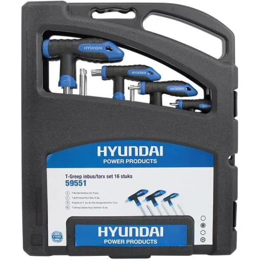 16-piece T-handle hex key set