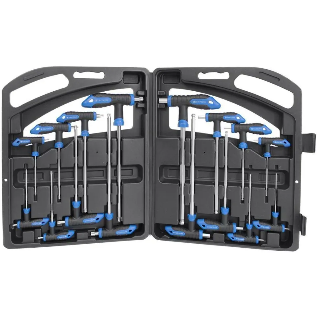 16-piece T-handle hex key set