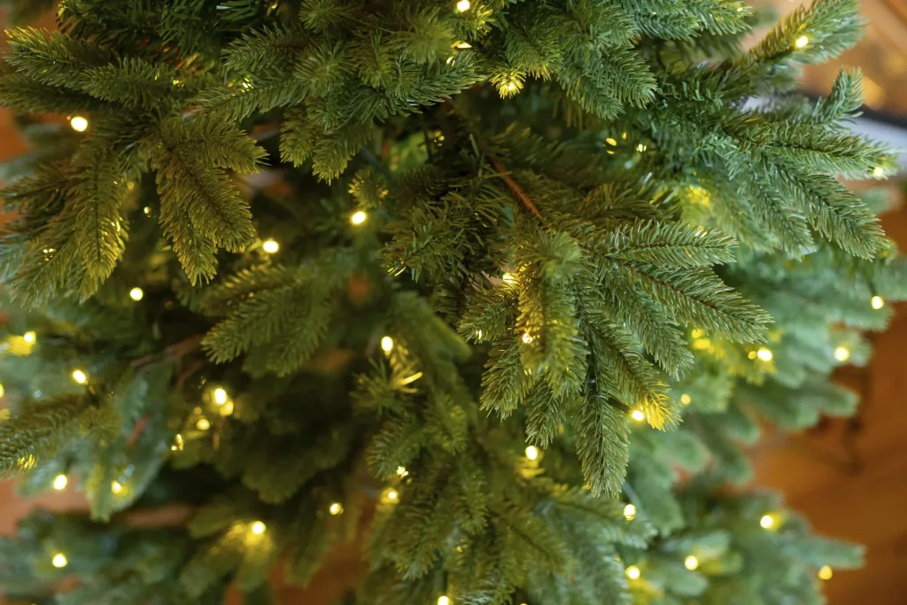 Christmas tree Roswell pine 150 cm