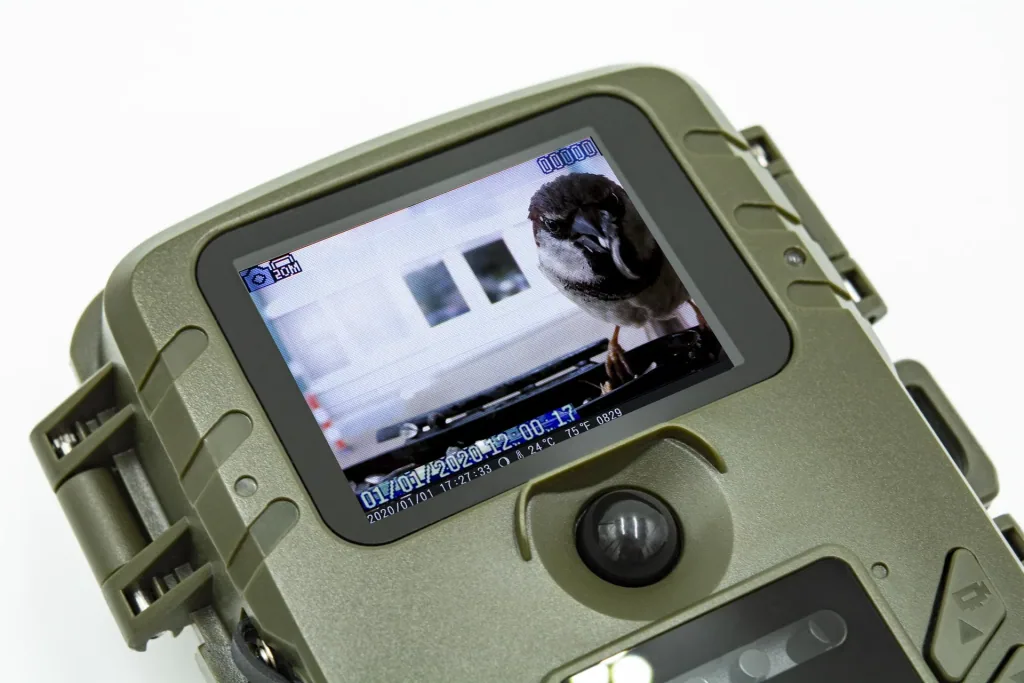 Full HD camera for bird and small animal observation with PIR sensor, microphone and speaker