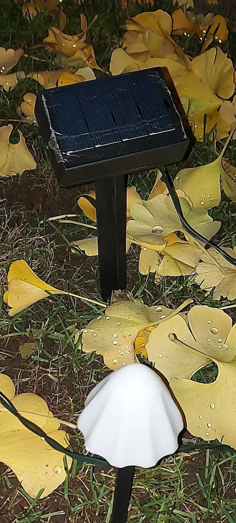 Solar light chain "Mushroom", with 20 warm white LEDs