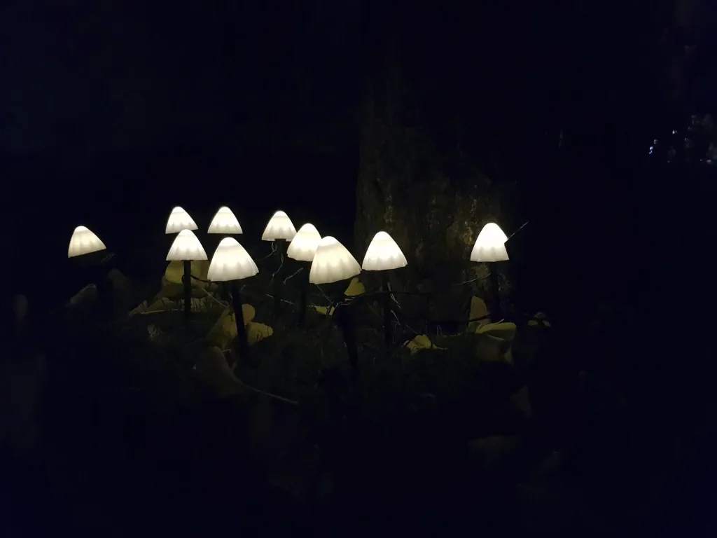 Solar light chain "Mushroom", with 20 warm white LEDs