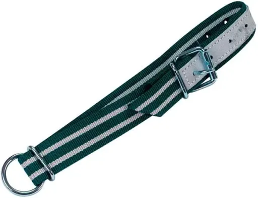 The neck strap