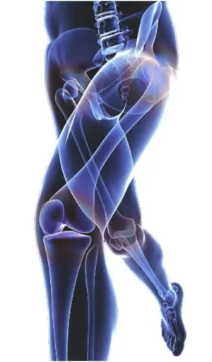 RXB Complex Joint Capsules, 30 Capsules