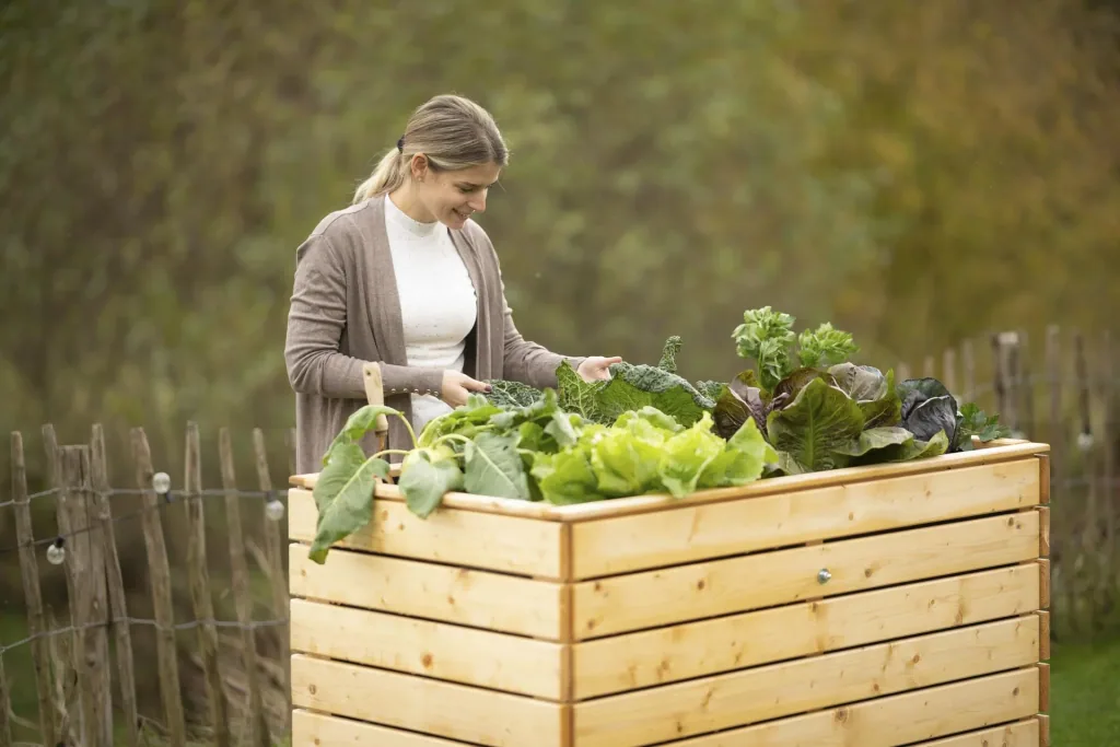 Raised Bed Asket L, 130×70×90 cm, Natural – Spruce Wood, Back-Friendly