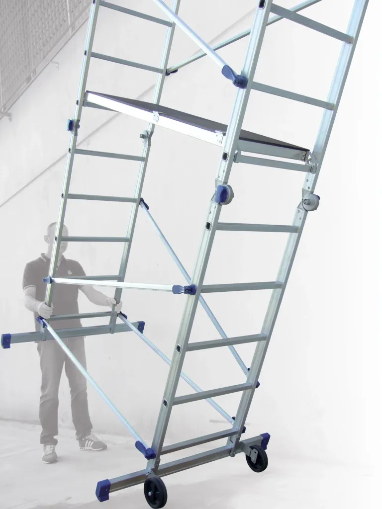 Pinna multifunctional scaffold
