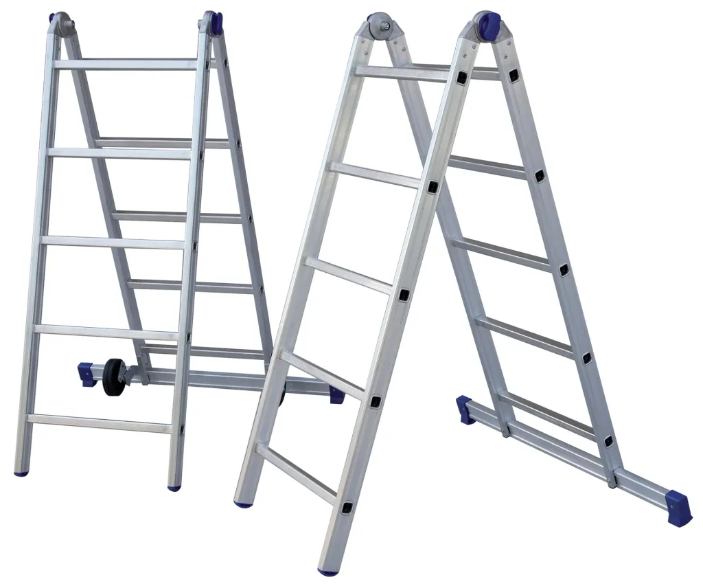 Pinna multifunctional scaffold