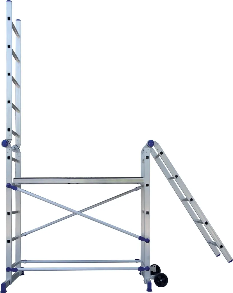 Pinna multifunctional scaffold