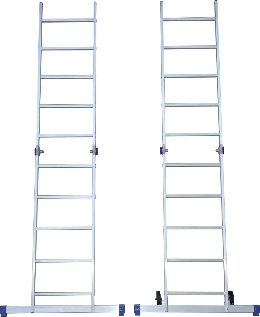 Pinna multifunctional scaffold