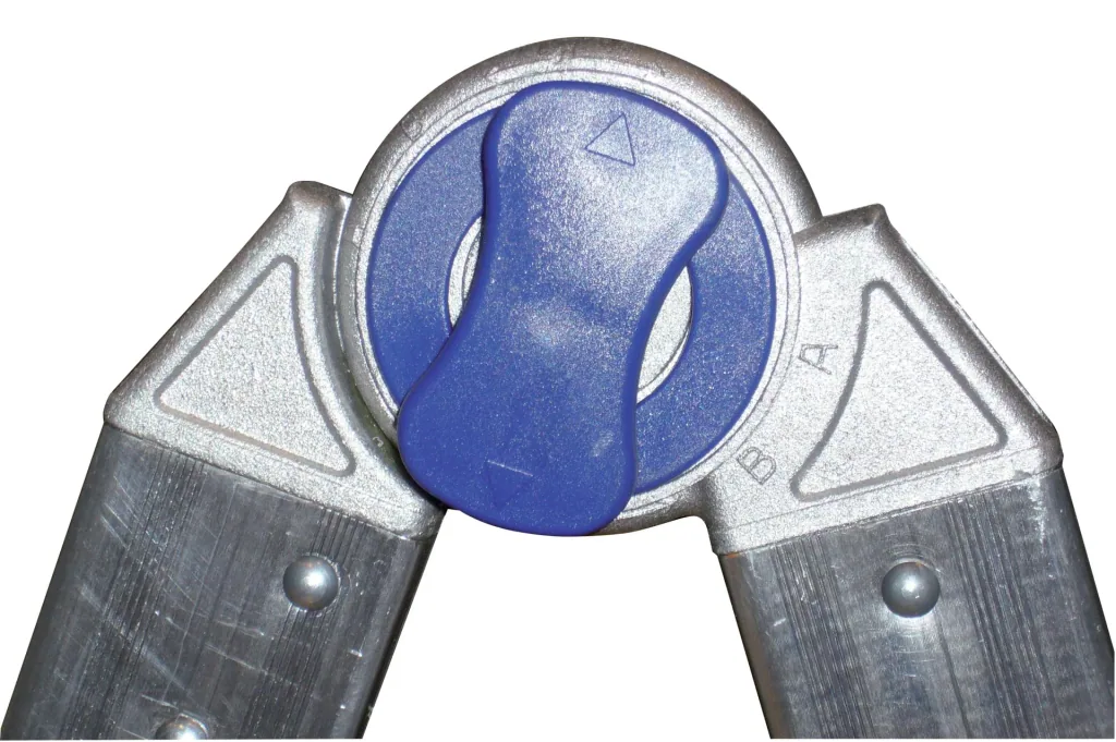 Pinna multifunctional scaffold