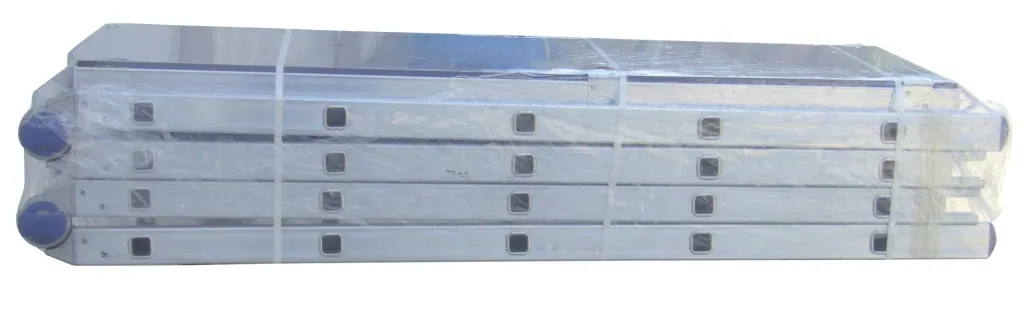 Pinna multifunctional scaffold