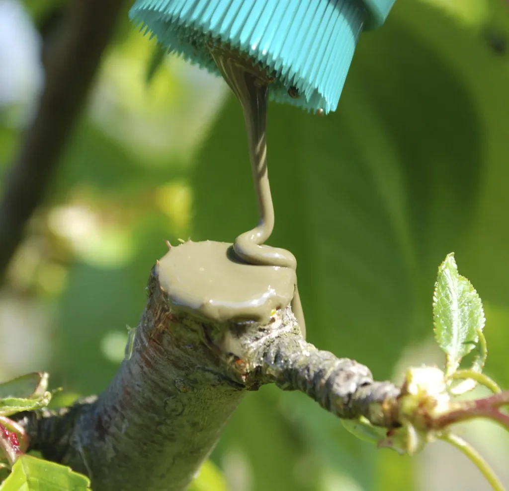 Tree plaster, brush bottle, 300 g