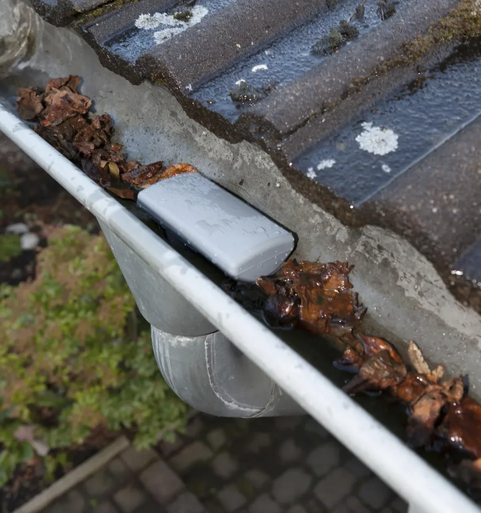 Gutter siphon, pack of 2 - 15 cm long, up to 9 cm downpipe diameter
